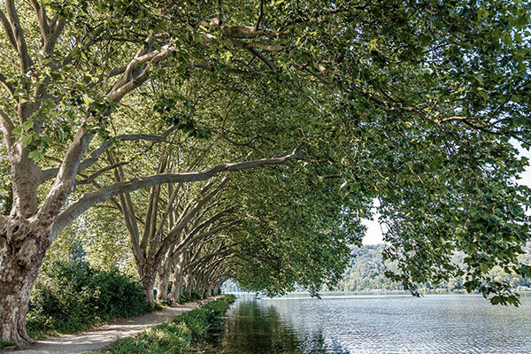 Wanderweg am Rande des Baldeneysee, Bildrechte: Pixabay.com / herbert2512